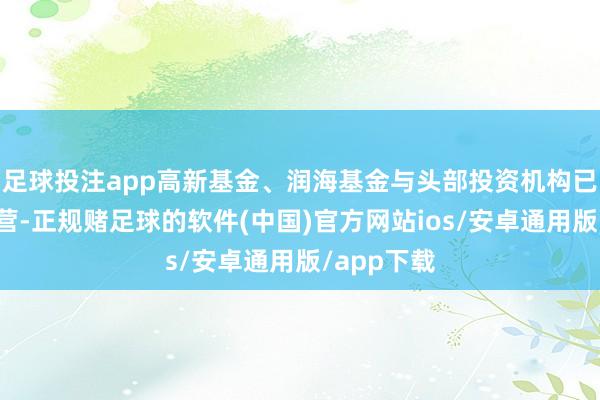 足球投注app高新基金、润海基金与头部投资机构已毕政策合营-正规赌足球的软件(中国)官方网站ios/安卓通用版/app下载