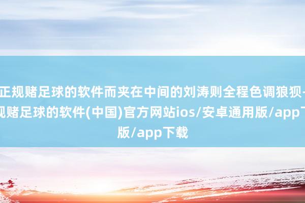 正规赌足球的软件而夹在中间的刘涛则全程色调狼狈-正规赌足球的软件(中国)官方网站ios/安卓通用版/app下载