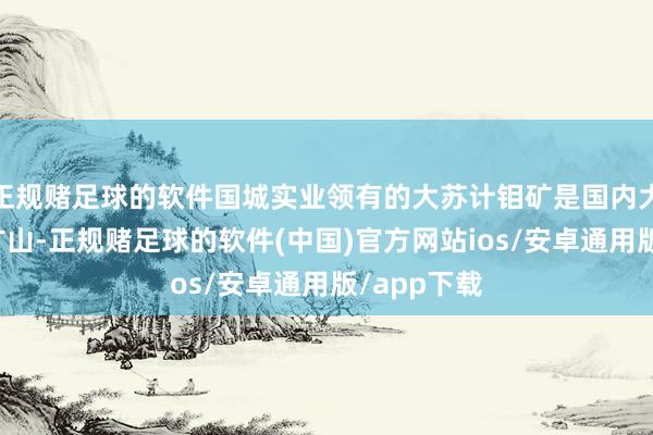 正规赌足球的软件国城实业领有的大苏计钼矿是国内大型钼金属矿山-正规赌足球的软件(中国)官方网站ios/安卓通用版/app下载
