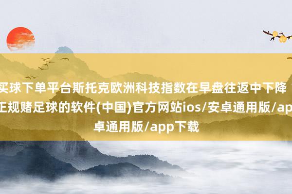 买球下单平台斯托克欧洲科技指数在早盘往返中下降 1.7%-正规赌足球的软件(中国)官方网站ios/安卓通用版/app下载