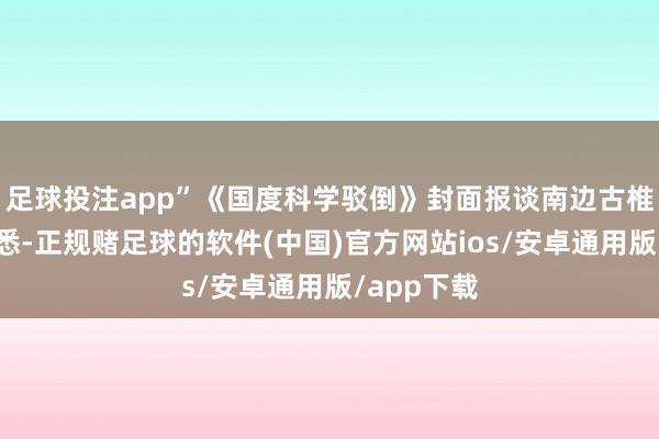 足球投注app”《国度科学驳倒》封面报谈南边古椎鱼筹商据悉-正规赌足球的软件(中国)官方网站ios/安卓通用版/app下载