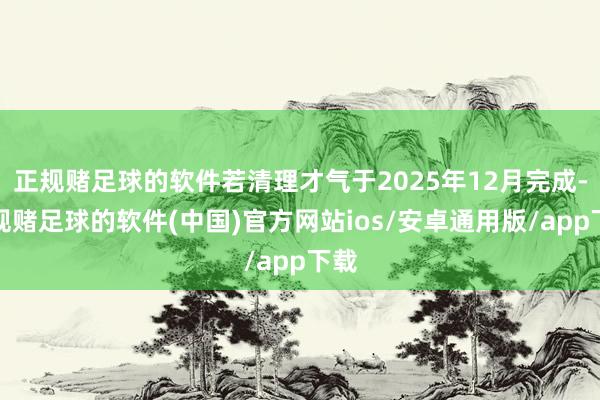 正规赌足球的软件若清理才气于2025年12月完成-正规赌足球的软件(中国)官方网站ios/安卓通用版/app下载