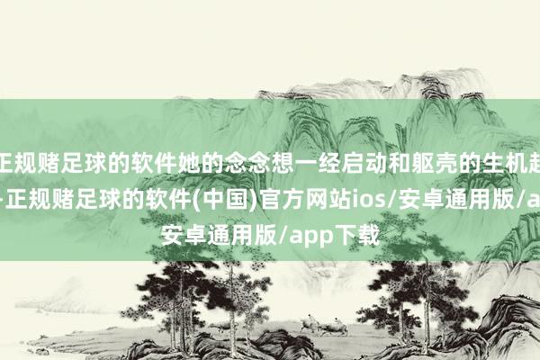 正规赌足球的软件她的念念想一经启动和躯壳的生机起了松懈-正规赌足球的软件(中国)官方网站ios/安卓通用版/app下载