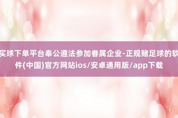 买球下单平台奉公遵法参加眷属企业-正规赌足球的软件(中国)官方网站ios/安卓通用版/app下载