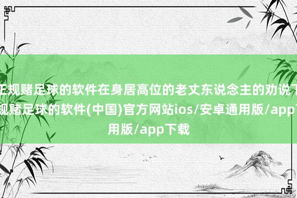 正规赌足球的软件在身居高位的老丈东说念主的劝说下-正规赌足球的软件(中国)官方网站ios/安卓通用版/app下载