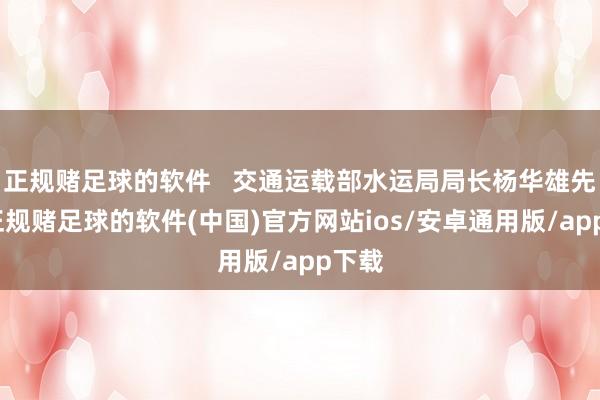 正规赌足球的软件 交通运载部水运局局长杨华雄先容-正规赌足球的软件(中国)官方网站ios/安卓通用版/app下载
