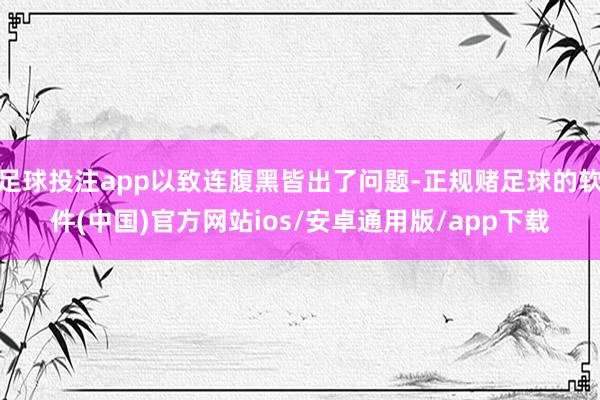 足球投注app以致连腹黑皆出了问题-正规赌足球的软件(中国)官方网站ios/安卓通用版/app下载