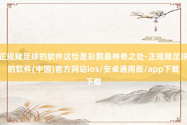 正规赌足球的软件这恰是彩鹮最神奇之处-正规赌足球的软件(中国)官方网站ios/安卓通用版/app下载