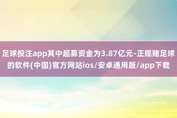 足球投注app其中超募资金为3.87亿元-正规赌足球的软件(中国)官方网站ios/安卓通用版/app下载