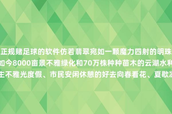 正规赌足球的软件仿若翡翠宛如一颗魔力四射的明珠冉冉起飞在黄海之滨现如今8000亩景不雅绿化和70万株种种苗木的云湖水利兴奋区已然成为游东谈主不雅光度假、市民安闲休憩的好去向春看花、夏歇凉、秋赏叶、冬不雅静毋庸奔赴远处在连云港寻一处湖畔便可相逢山海湖畔的四时罢休兴奋你常去的湖畔还有哪些-正规赌足球的软件(中国)官方网站ios/安卓通用版/app下载