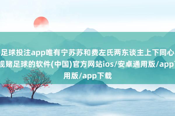 足球投注app唯有宁苏苏和费左氏两东谈主上下同心-正规赌足球的软件(中国)官方网站ios/安卓通用版/app下载
