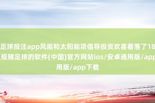 足球投注app风能和太阳能项倡导投资欢喜着落了18%-正规赌足球的软件(中国)官方网站ios/安卓通用版/app下载