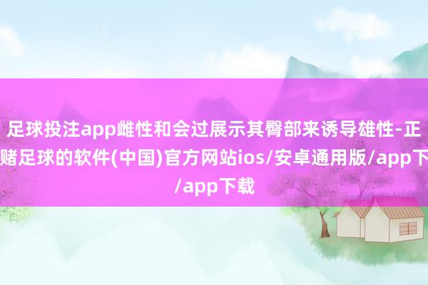 足球投注app雌性和会过展示其臀部来诱导雄性-正规赌足球的软件(中国)官方网站ios/安卓通用版/app下载