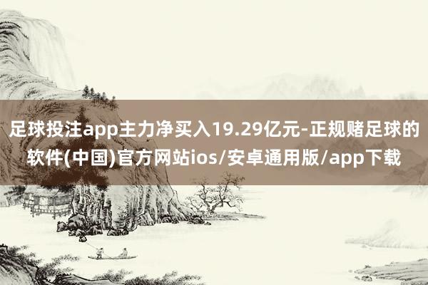 足球投注app主力净买入19.29亿元-正规赌足球的软件(中国)官方网站ios/安卓通用版/app下载