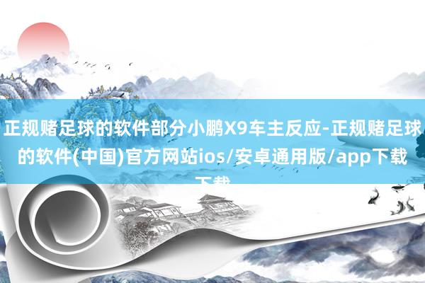 正规赌足球的软件部分小鹏X9车主反应-正规赌足球的软件(中国)官方网站ios/安卓通用版/app下载