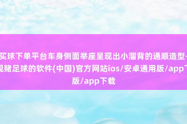 买球下单平台车身侧面举座呈现出小溜背的通顺造型-正规赌足球的软件(中国)官方网站ios/安卓通用版/app下载