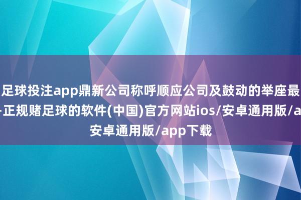 足球投注app鼎新公司称呼顺应公司及鼓动的举座最好利益-正规赌足球的软件(中国)官方网站ios/安卓通用版/app下载