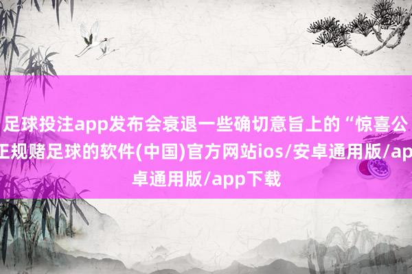足球投注app发布会衰退一些确切意旨上的“惊喜公布”-正规赌足球的软件(中国)官方网站ios/安卓通用版/app下载