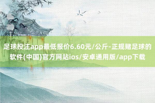 足球投注app最低报价6.60元/公斤-正规赌足球的软件(中国)官方网站ios/安卓通用版/app下载