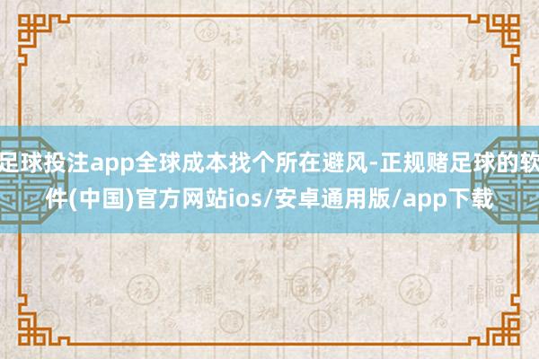 足球投注app全球成本找个所在避风-正规赌足球的软件(中国)官方网站ios/安卓通用版/app下载
