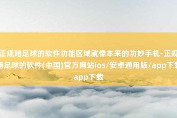正规赌足球的软件功能区域就像本来的功妙手机-正规赌足球的软件(中国)官方网站ios/安卓通用版/app下载