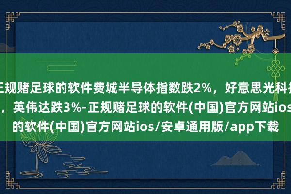 正规赌足球的软件费城半导体指数跌2%，好意思光科技跌4.6%，Arm跌4%，英伟达跌3%-正规赌足球的软件(中国)官方网站ios/安卓通用版/app下载