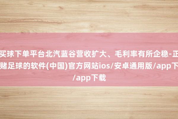 买球下单平台北汽蓝谷营收扩大、毛利率有所企稳-正规赌足球的软件(中国)官方网站ios/安卓通用版/app下载
