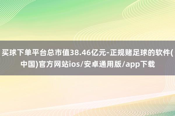 买球下单平台总市值38.46亿元-正规赌足球的软件(中国)官方网站ios/安卓通用版/app下载