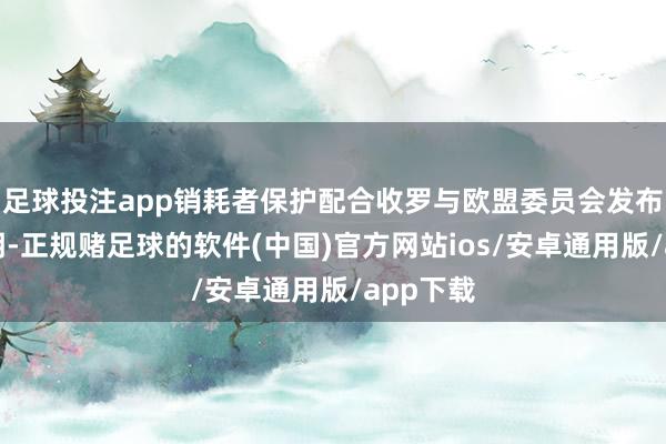 足球投注app销耗者保护配合收罗与欧盟委员会发布勾通声明-正规赌足球的软件(中国)官方网站ios/安卓通用版/app下载