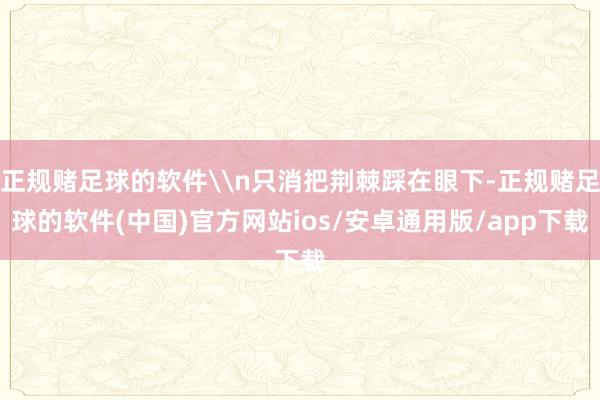 正规赌足球的软件\n只消把荆棘踩在眼下-正规赌足球的软件(中国)官方网站ios/安卓通用版/app下载