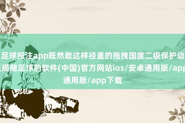 足球投注app既然敢这样径直的拖拽国度二级保护动物-正规赌足球的软件(中国)官方网站ios/安卓通用版/app下载