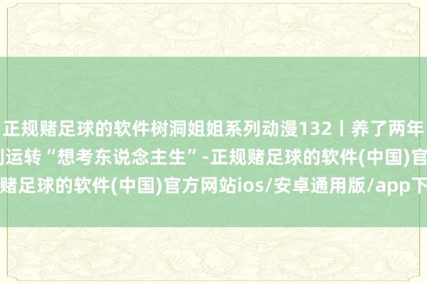 正规赌足球的软件树洞姐姐系列动漫132丨养了两年多的仓鼠身后,男孩片刻运转“想考东说念主生”-正规赌足球的软件(中国)官方网站ios/安卓通用版/app下载